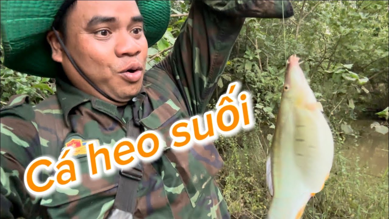 MỘT NGÀY CÂU CÁ TRONG RỪNG 70 KM VÀ CÁI KẾT