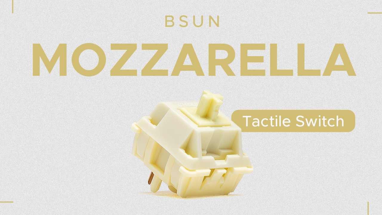 BSUN Mozzarella Cheese Switch Typing Test