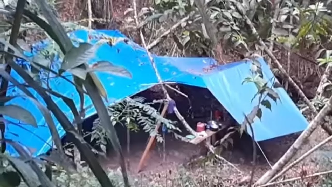 ALÉM DO OURO OLHA O QUE EU ENCONTREI NA SELVA