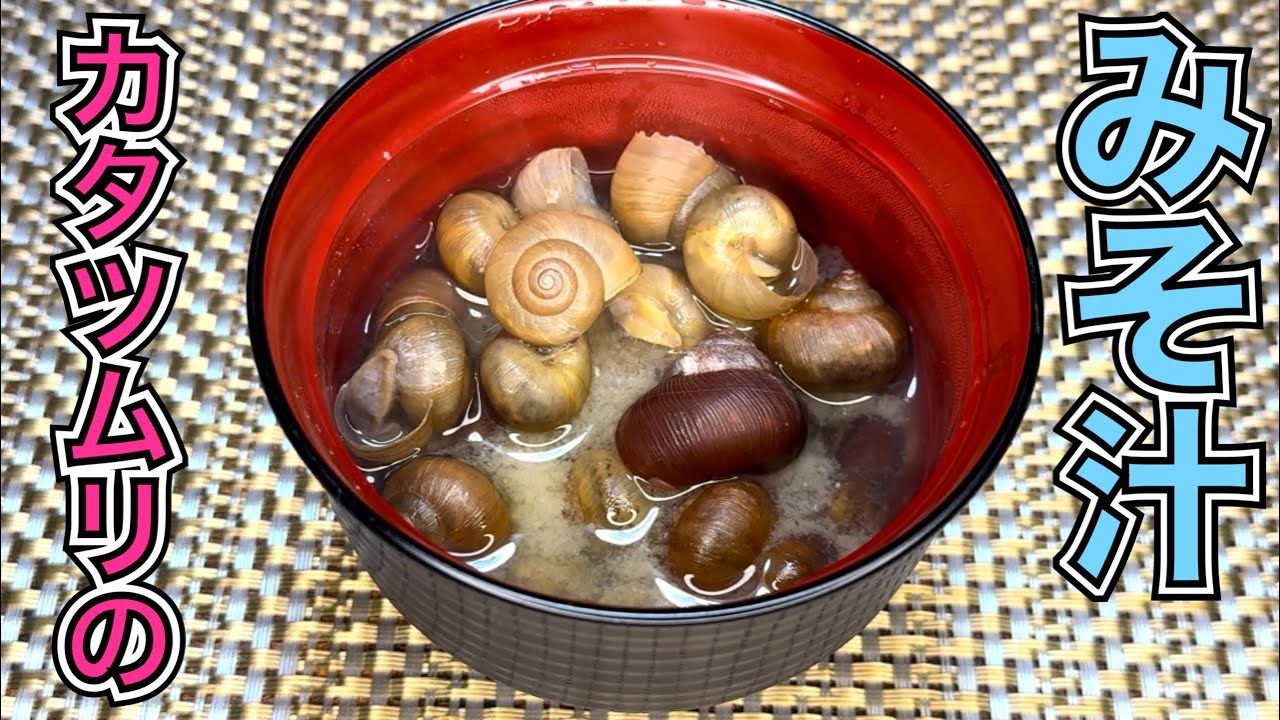 カタツムリをたくさん集めて味噌汁にして食べる