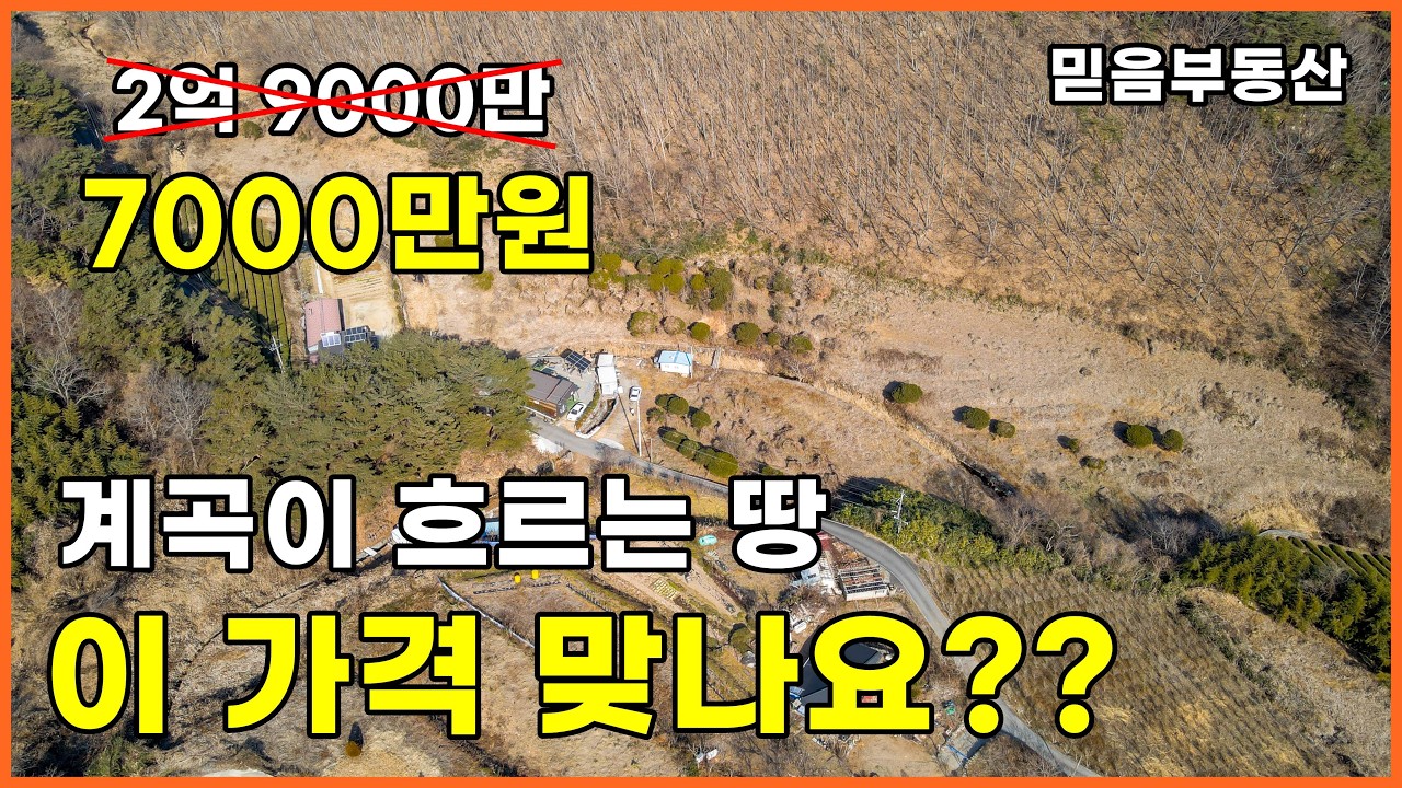 2억 9000이 단돈 7000만원. 계곡이 흐르는 토지가 말도 안되는 가격. 평당 3만원 완전 헐값!!