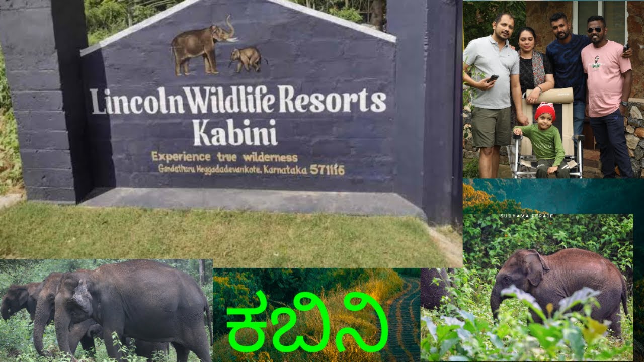 Trip To Kabini | Lincoln Wildlife Resort | ಕಬಿನಿ ಕಾಡಿನೊಳಗೆ