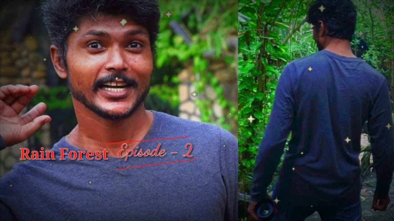 Rain Forest || Episode#2 || #Kottayam || Kudamaloor #Resort || Best tourist place in Kottayam