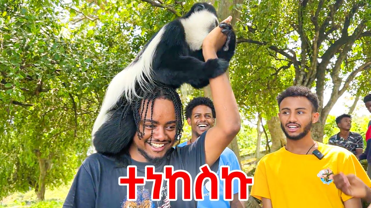 አሞራ ገደል ጉሬዛ አበላን🇪🇹 Hawassa Vlog