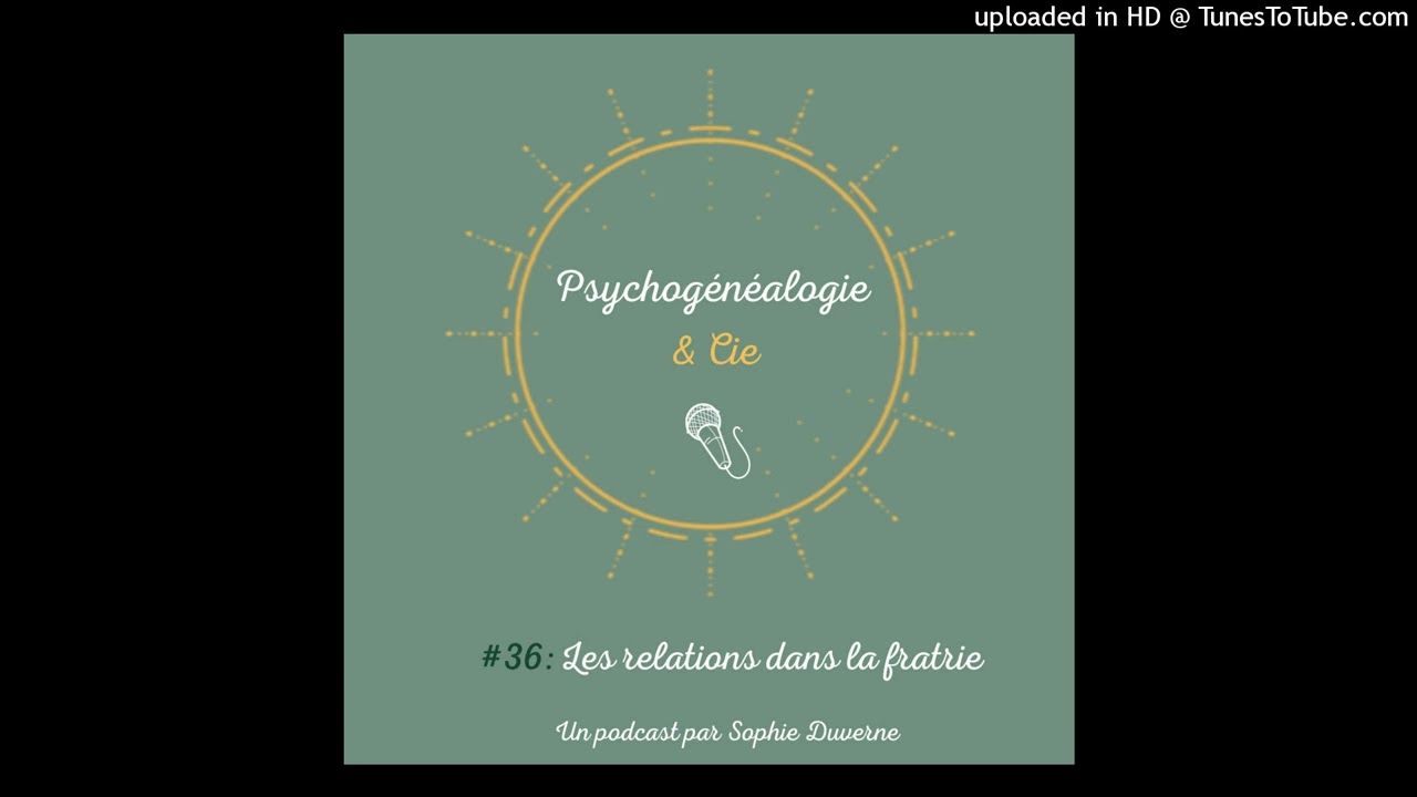 Les relations dans la fratrie