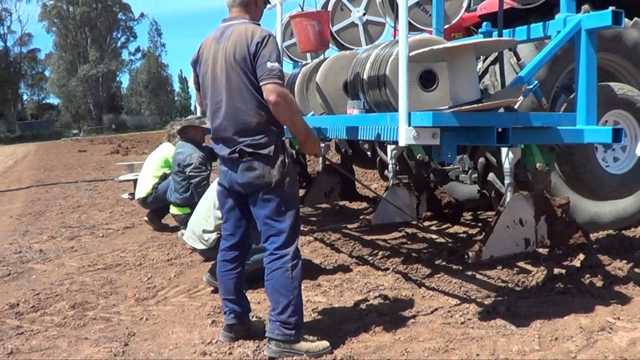 How To Install Netafim Sub-surface Drip Irrigation (SDI)