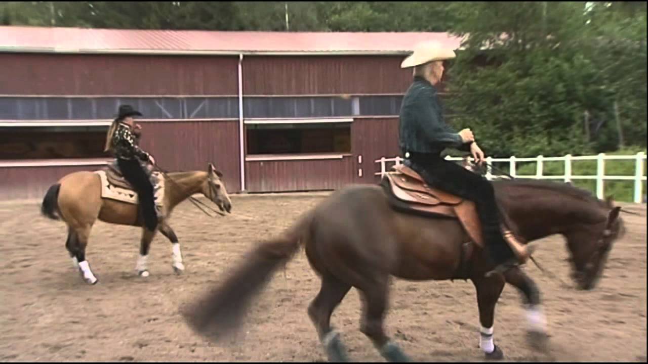 Reining-Lännenratsastus