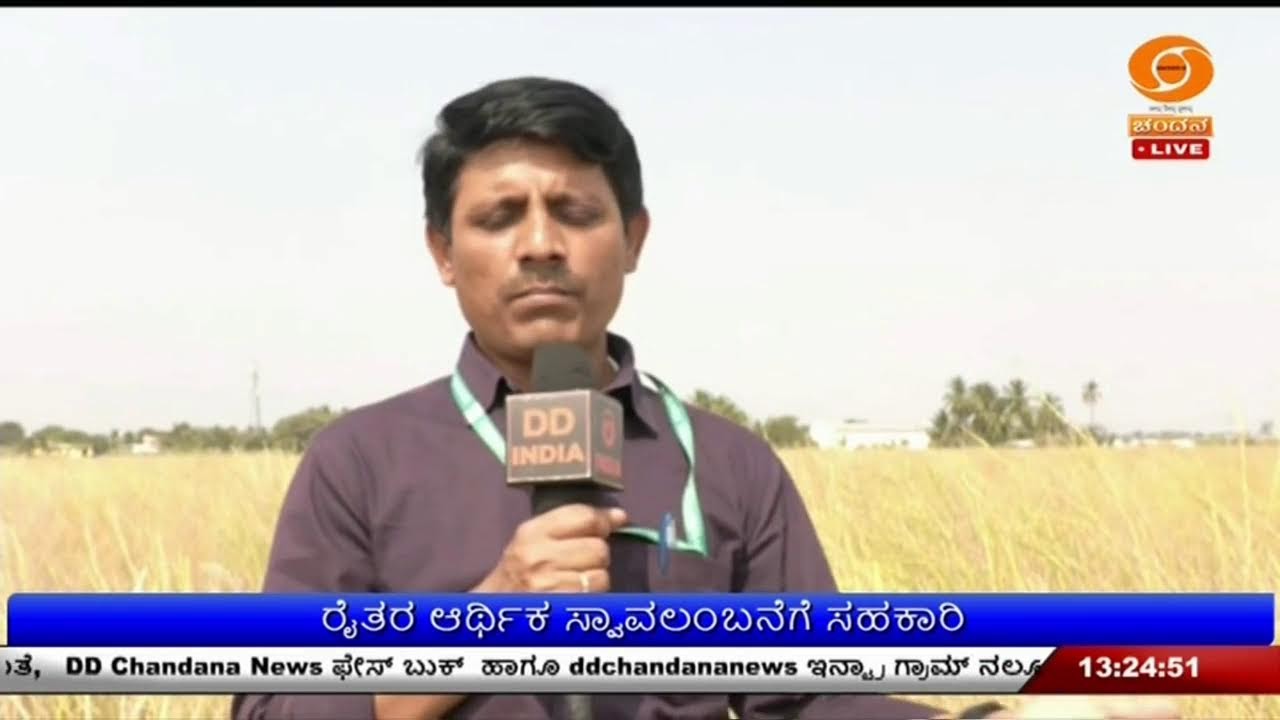 LIVE : DD CHANDANA NEWS - 28.02.2026 | 01.00 PM