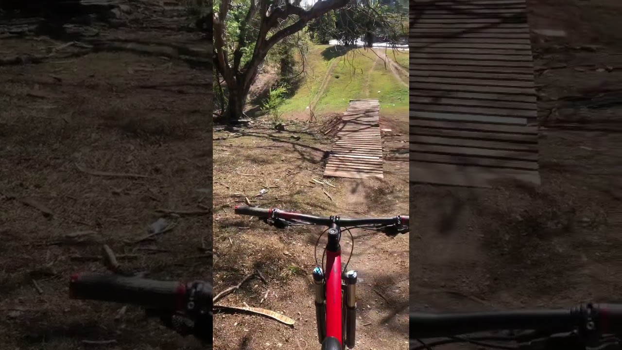 Pista MTB Bot&aacute;nico - Drops