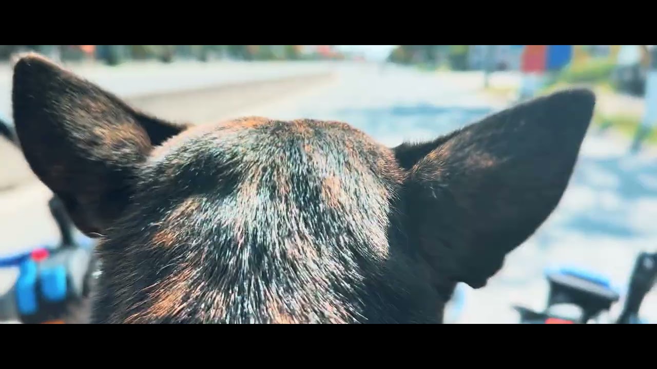 Sit Around The Fire - Ram Dass, Yin and my motorbike