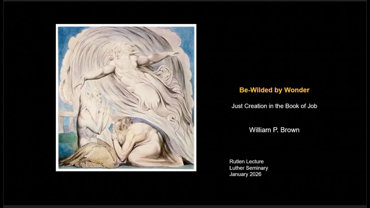 Be-Wilded by Wonder: The Book of Job and God's Wild Kingdom | Rutlen Lecture on Faith and Creation