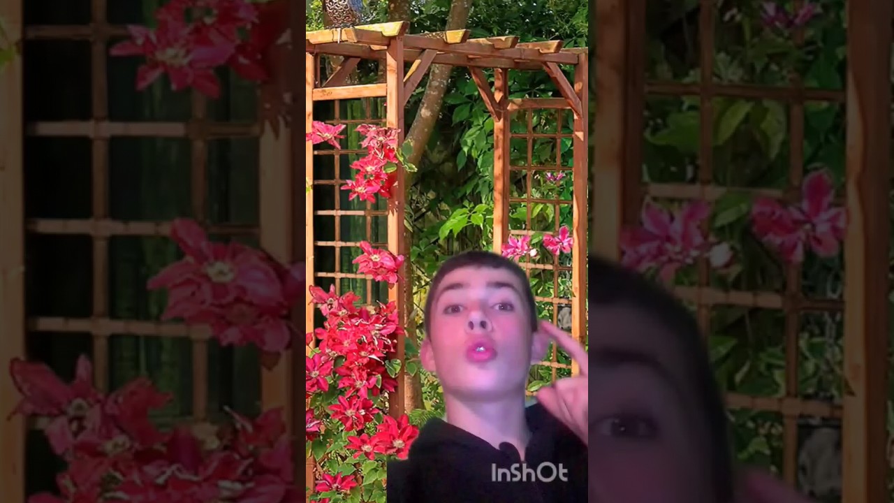 on fabrique une arche de jardin en bois #bricolage