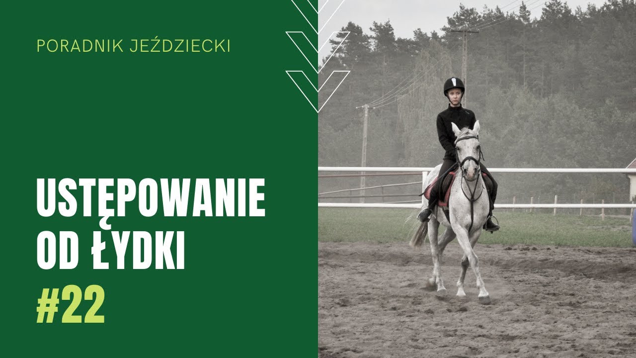 USTĘPOWANIE OD ŁYDKI | Poradnik jeździecki #22
