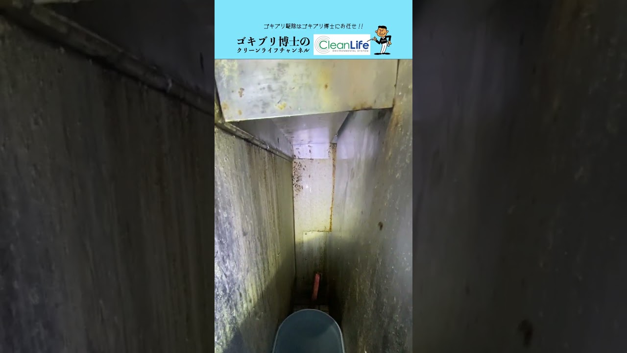 【ゴキブリ大量発生】ゆで麺機の横が巣になってます【ゴキブリ駆除業者】【クリーンライフ】 