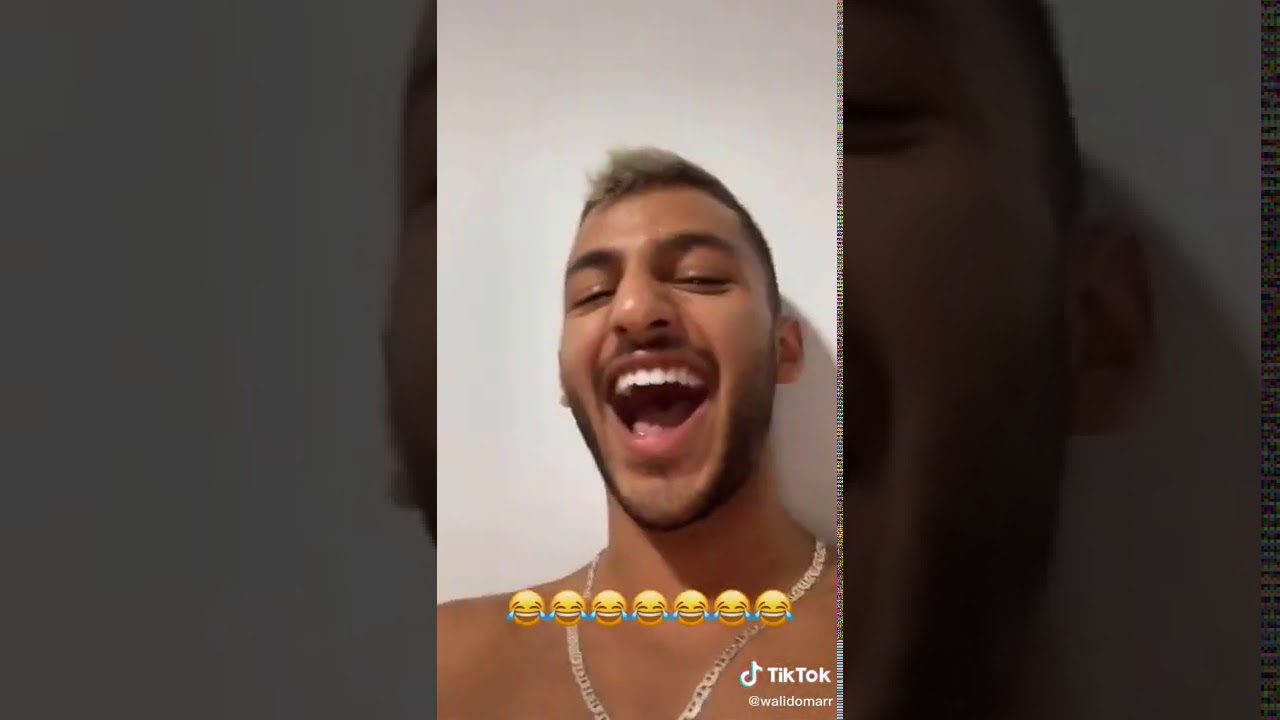 اضحك مع الذيب وأولاده ☺