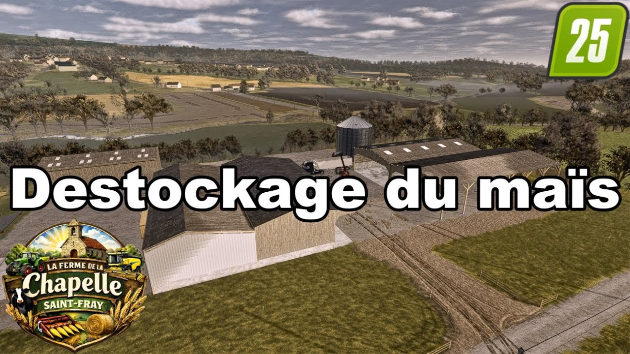 Destockage du maïs et broyage des cannes de maïs #5