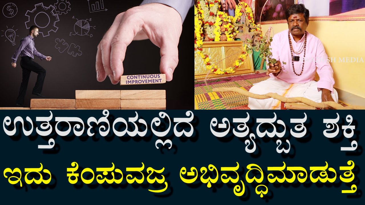 ಇದು ಕೆಂಪು ವಜ್ರ | ಜೀವನವನ್ನು ಅಭಿರುದ್ದಿ ಮಾಡುತ್ತೆ | ಕೆಂಪು ಉತ್ತರಾಣಿ ನಿಮಗೂ ಅಚ್ಚರಿ ಆಗುತ್ತೆ