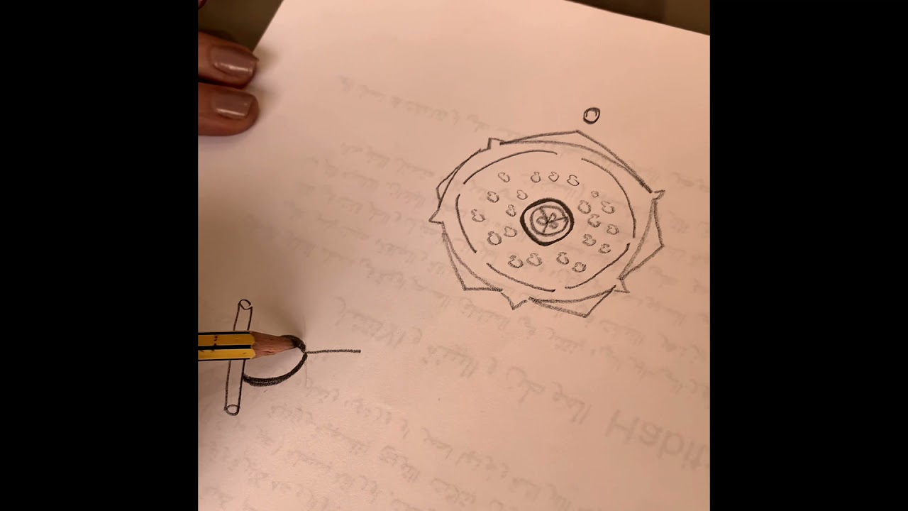 Myrtaceae description and floral diagram