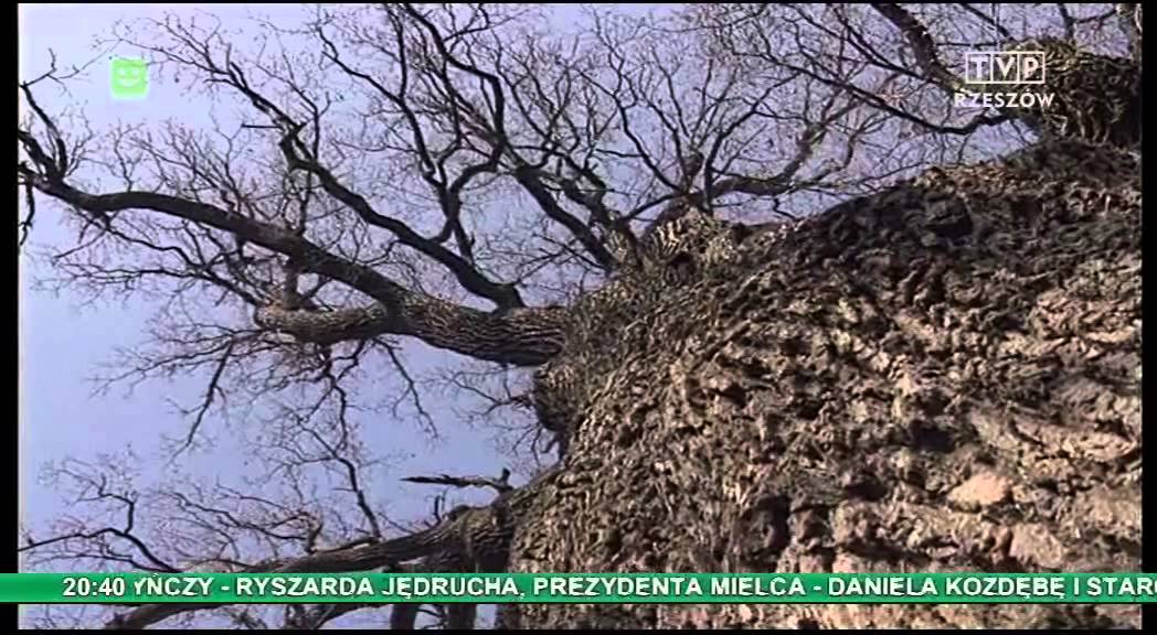 TVP Rzeszow - Pogórze Podkarpackie