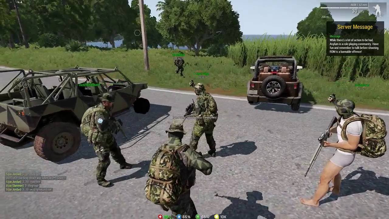 arma 3 tonoa life( day in a gang )