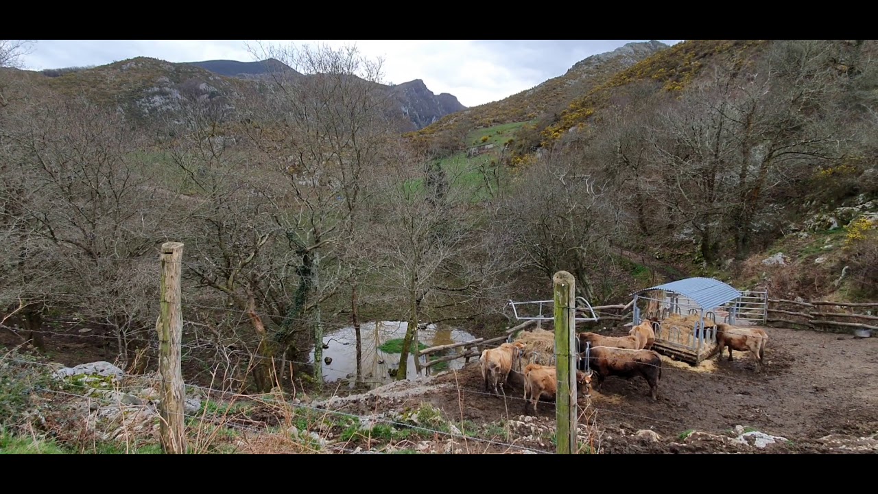 Ruta Foces del r&iacute;o Pend&oacute;n + Les Praeres (Nava - Asturias): sendero