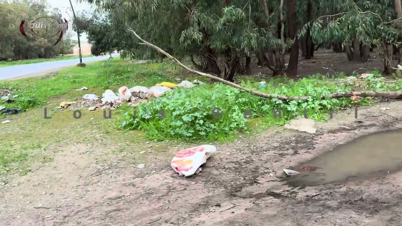 واقع غابة باليوسفية يطرح تساؤلات حول رمي نفايات وآثار قطع الأشجار في وسط الغابة