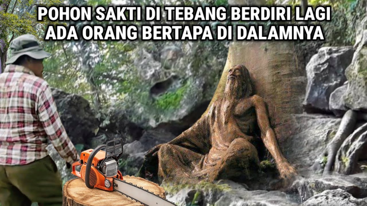 Ngeri !! Pohon Sakti Ditebang Berdiri Lagi Diperkampungan Gaib' Ternyata Dijaga Orang Bertapa