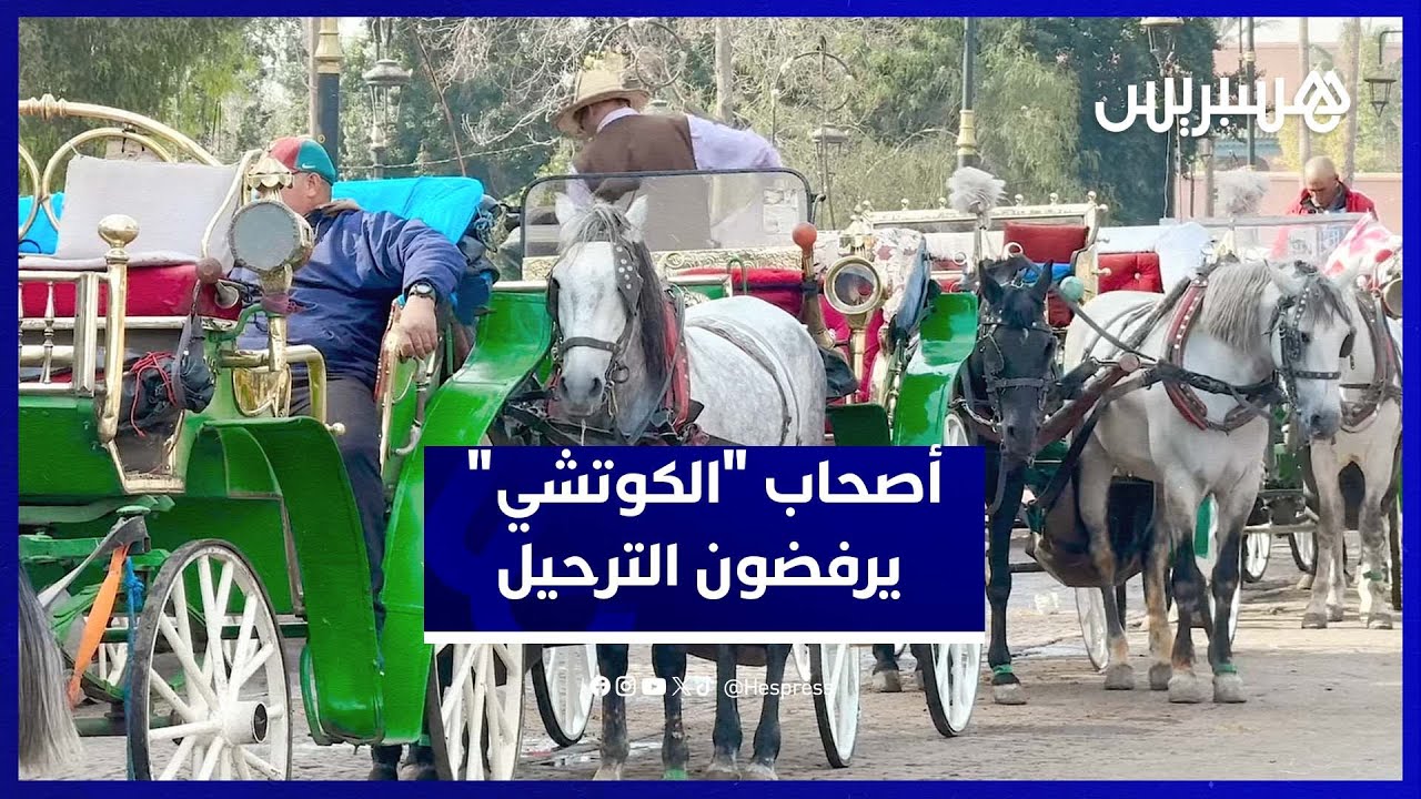 أصحاب عربات 