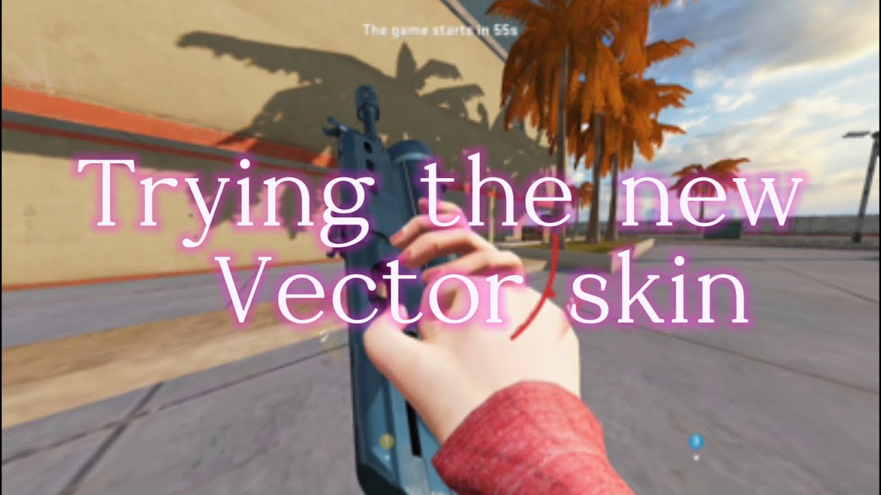 I’m BACK (trying the new vector skin ) highlights 