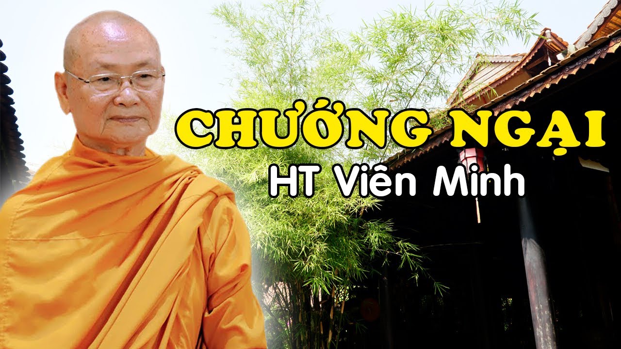 Để THANH TỊNH Được Phải Vượt Qua Được Các CHƯỚNG NGẠI này  - HT Viên Minh Giảng | Phật Pháp Vấn Đáp