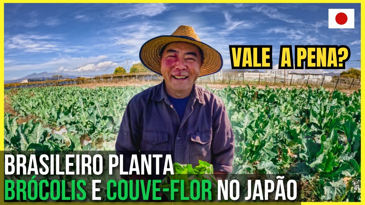 COMO É VIVER DA ROÇA SENDO BRASILEIRO NO JAPÃO