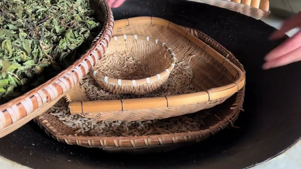 天气太冷了，为了搞点野生麦冬，真的是糟了老罪了#用摄像记录人生的足迹 #我的乡村生活 #大山里的原生态 #