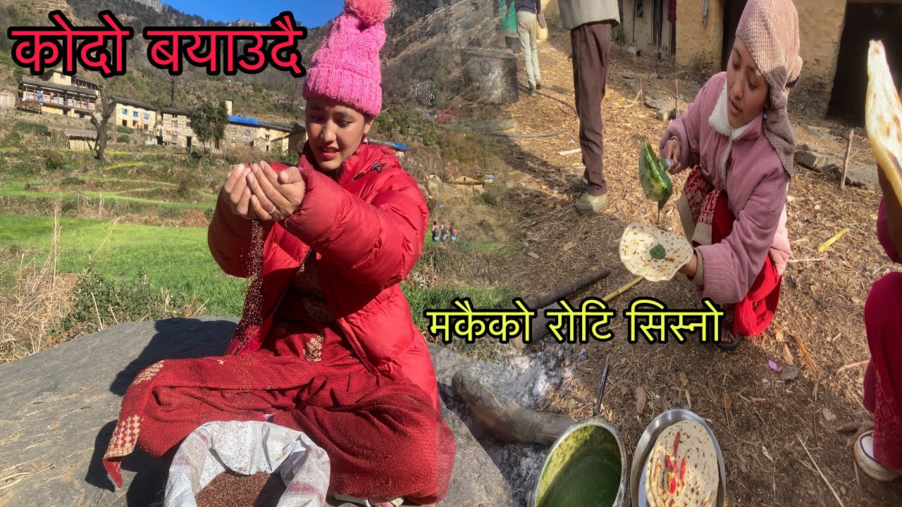 kodo kutera roti khana tayar banaudai aajalai khana sisno roti kati hamro vako