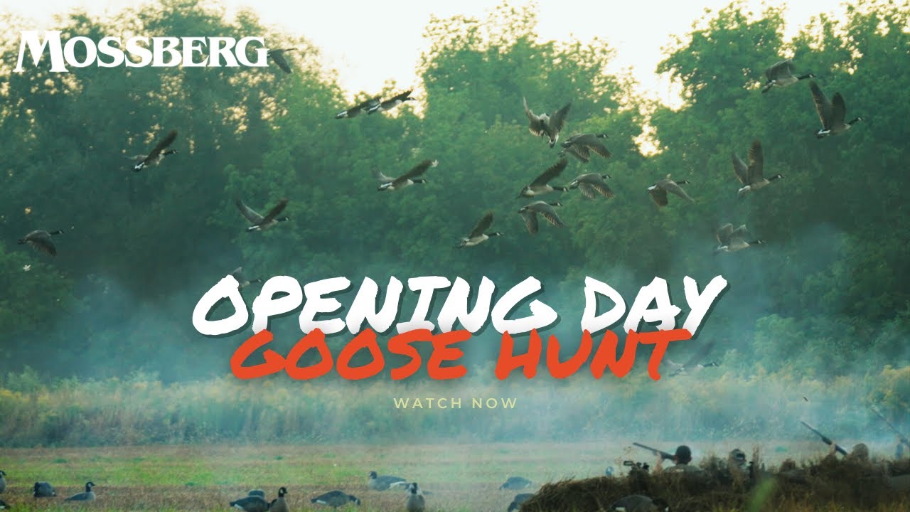 How We Scout For Early Goose Season.