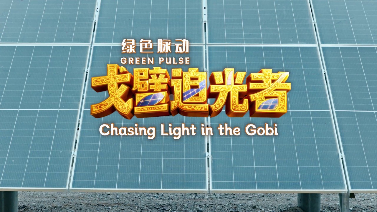 Green Pulse: Chasing Light in the Gobi