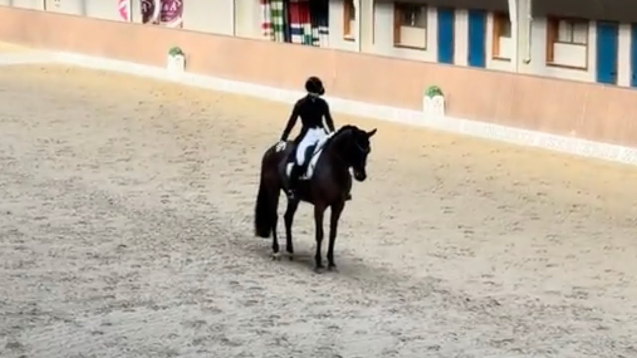 Aleksandra Popławska-Ślązak INDIGO TC Grand Prix Jaszkowo 2026