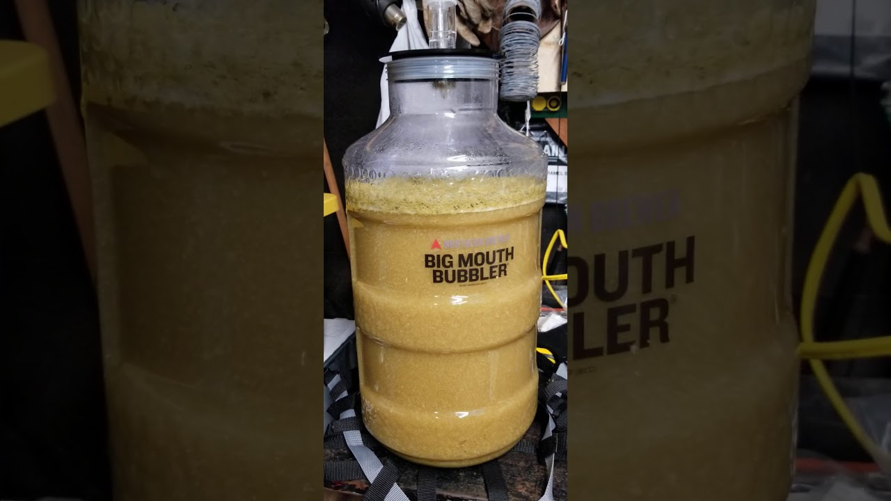 Northern Brewer big mouth bubbler