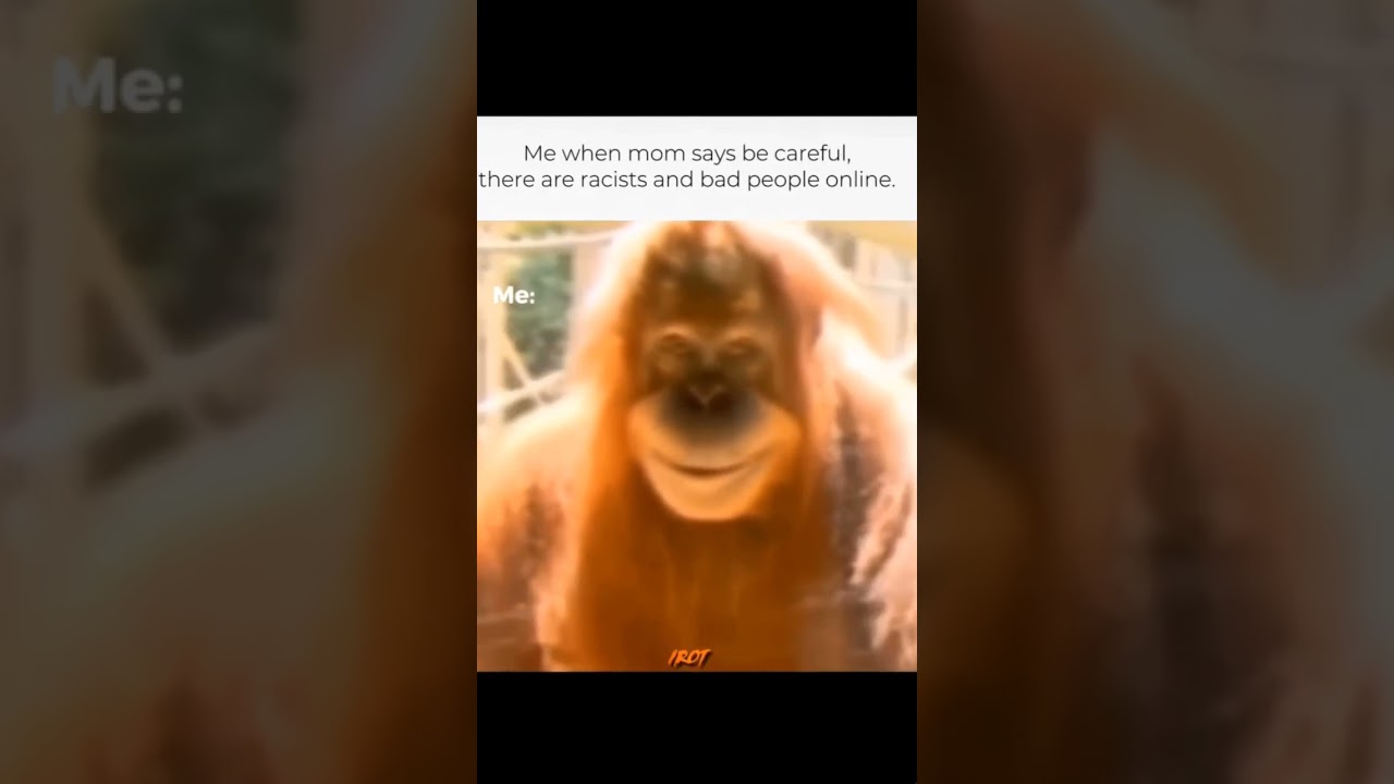 I am the  bad influence mom 