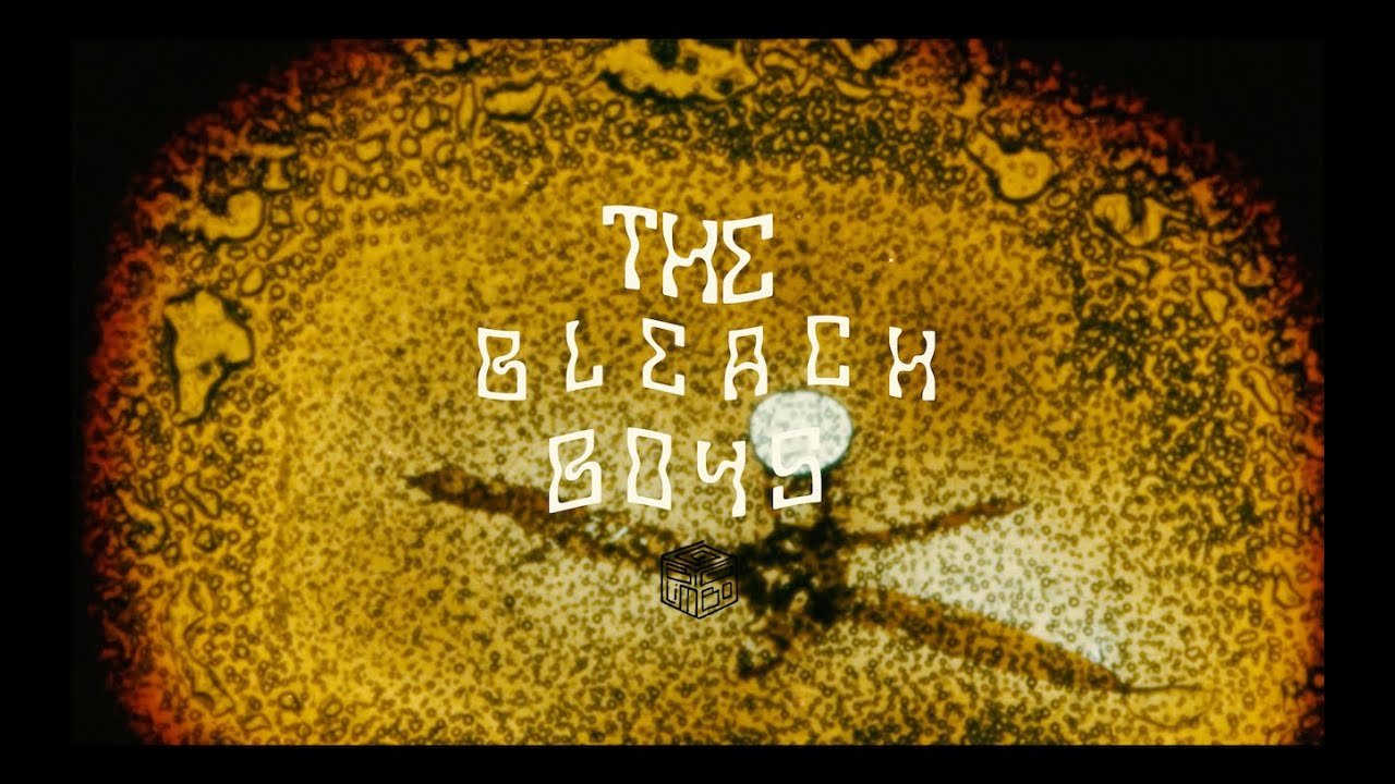 The Bleach Boys - Live from Big Limbo Studios
