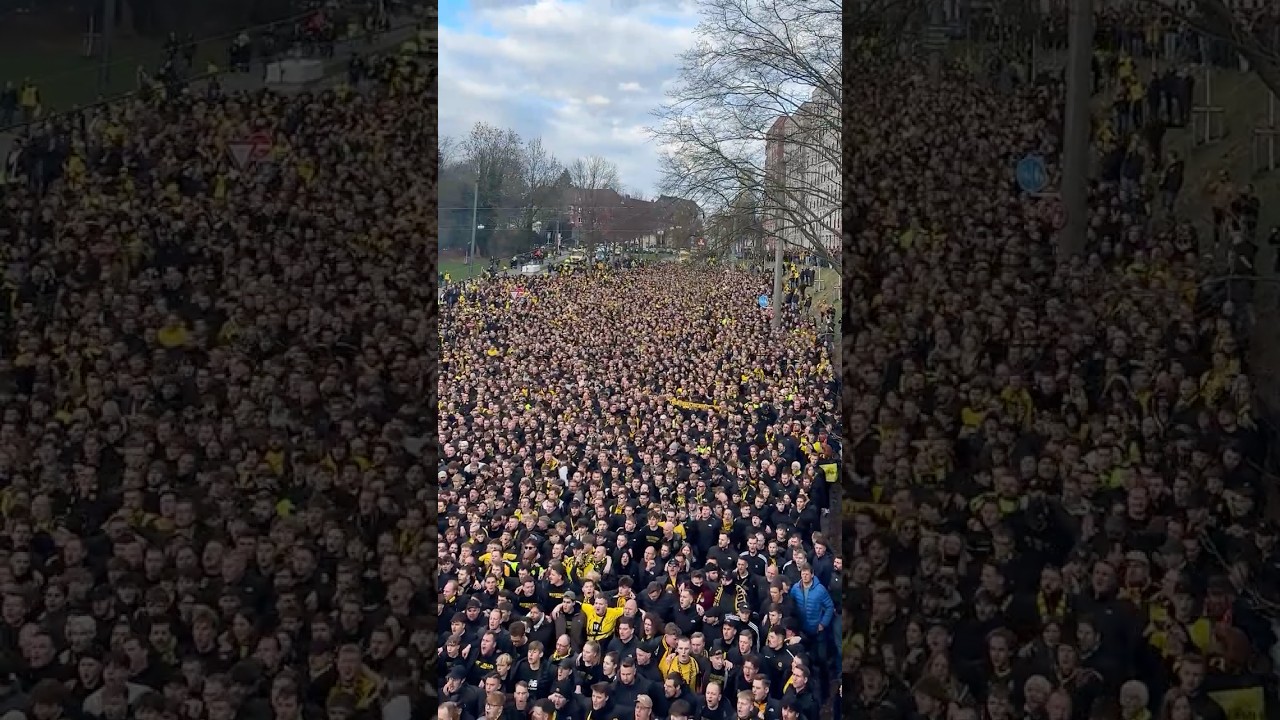 🔥🖤💛 Borussia Dortmund, BVB 09! 🔥🖤💛 #bvb #bvb09 #borussia #dortmund #support