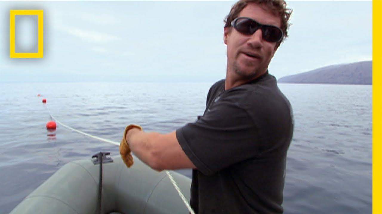 Meet the Shark Men: Brett | National Geographic
