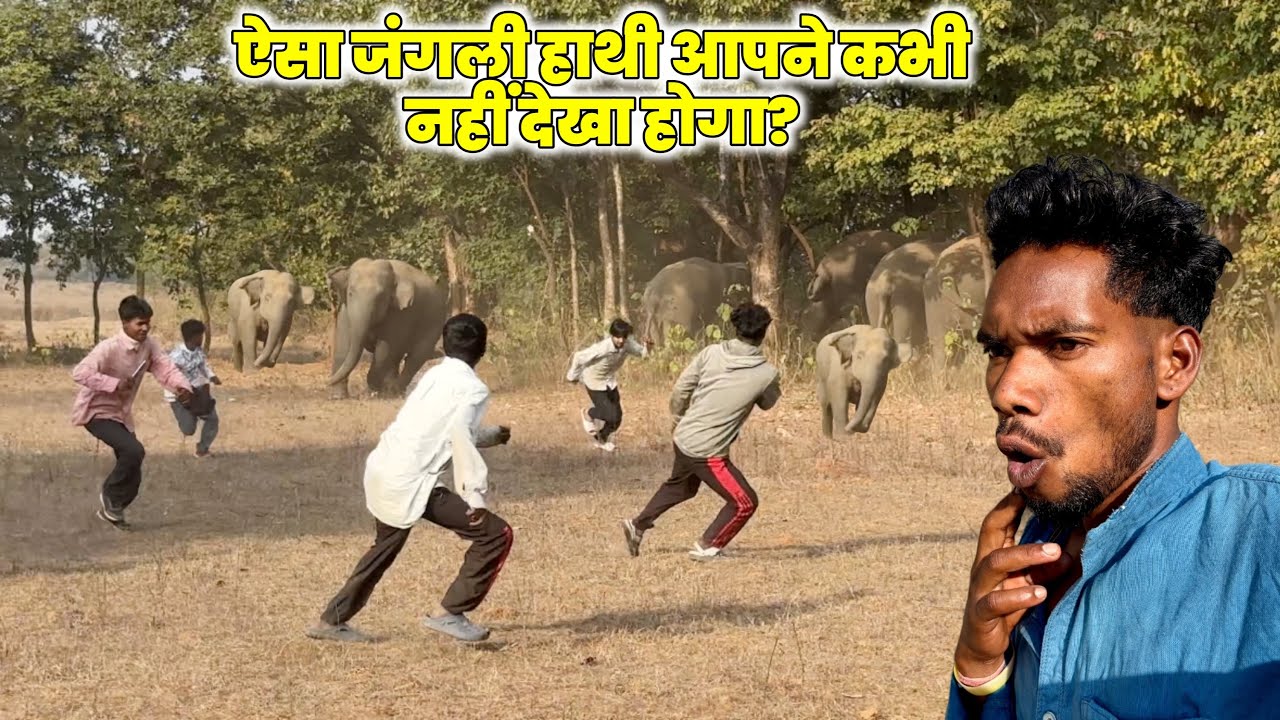 जिंदगी में पहली बार मौत और जिंदगी को करीब से देखा || Hathi Ne Achaanak Attack Kar Diya ||
