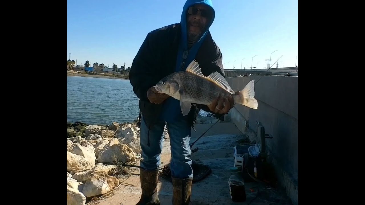 Broken camera,crashing editing app, GOT a FISH!!