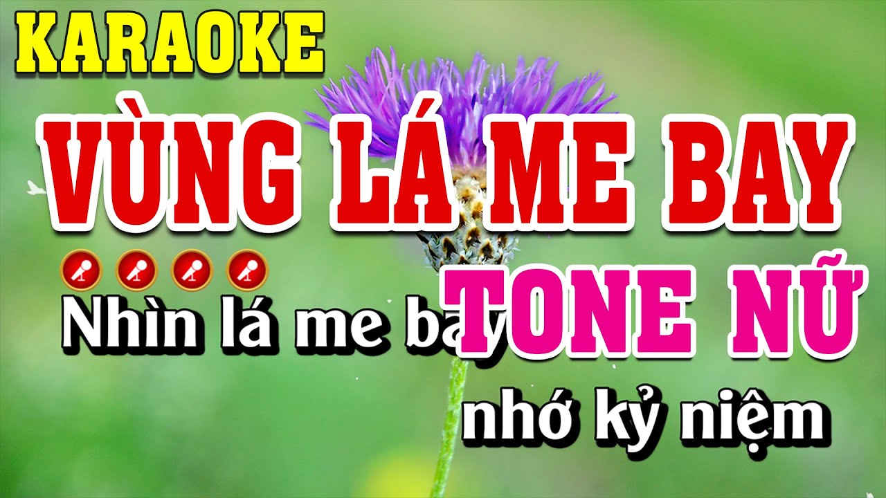 Vùng Lá Me Bay Karaoke Tone Nữ | Đình Long Karaoke