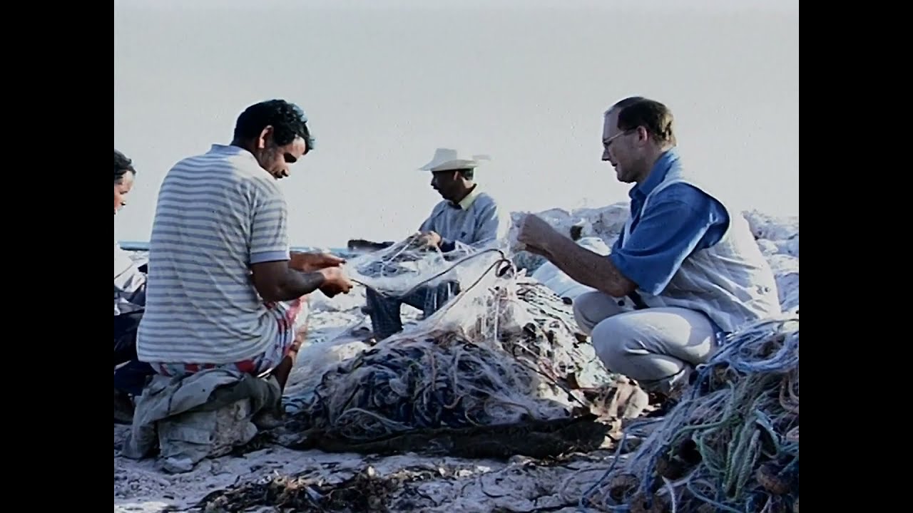 INSEL DJERBA LIED  EKKEHARD M.