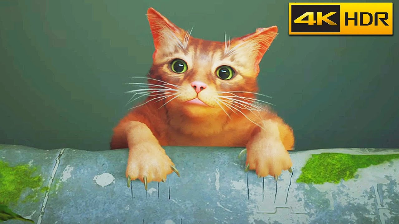 Stray PS5 Walkthrough First Hour - 4K ULTRA HDR Gameplay - No Commentary