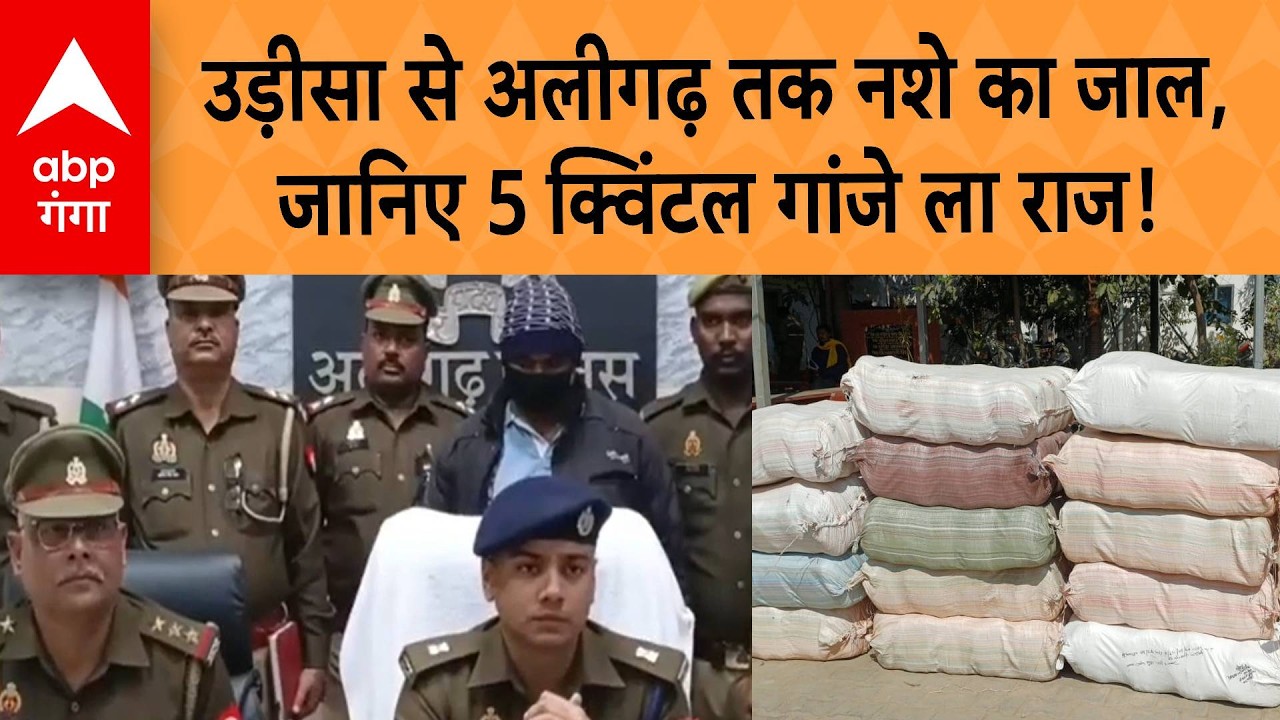 UP CRIME NEWS : Aligarh पुलिस का बड़ा धमाका! ढाई करोड़ का 500 KG गांजा बरामद | ABP GANGA