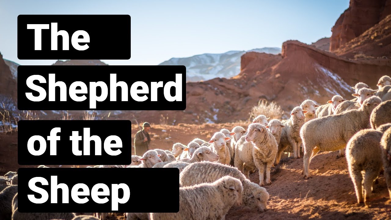 The Shepherd of the Sheep