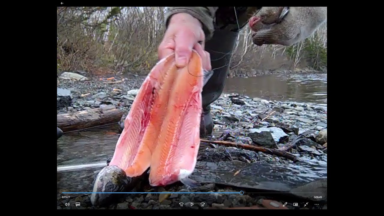 Newfoundland Searun Brookies for Smoker, May 25 2024