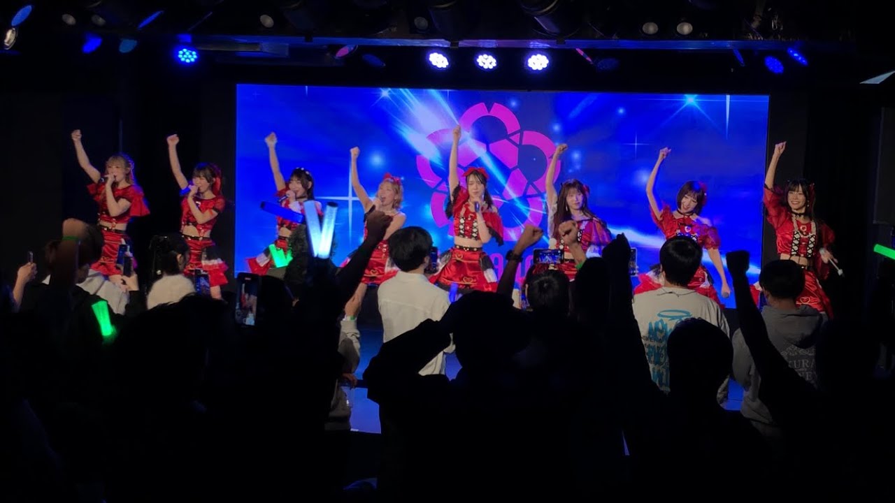 SAKURADOLL『進化型未来論』